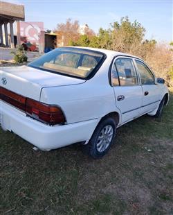 تويوتا كورولا